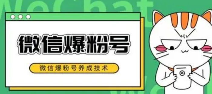 -做微商第一步必须学会让自己爆粉，来看看秘籍